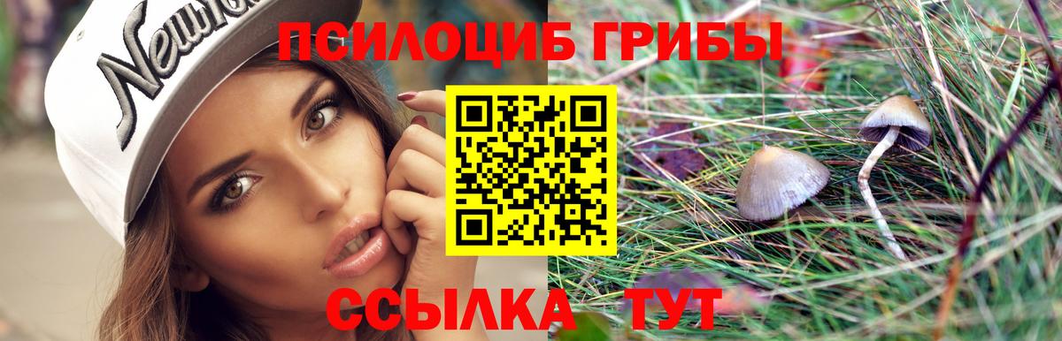 Галлюциногенные грибы мицелий  наркошоп  Елабуга  Псилоцибиновые грибы GOLDEN TEACHER  Вход с VPN 