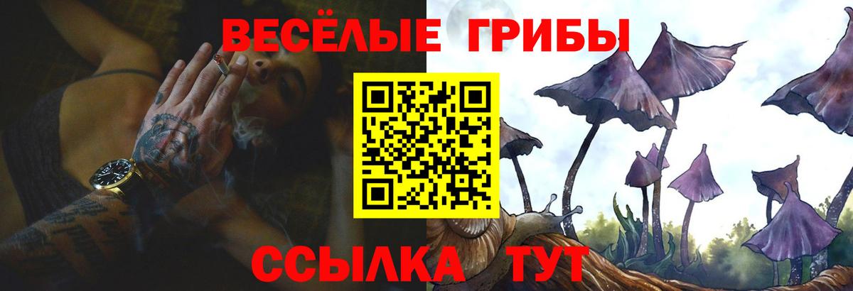 Псилоцибиновые грибы ЛСД Елабуга